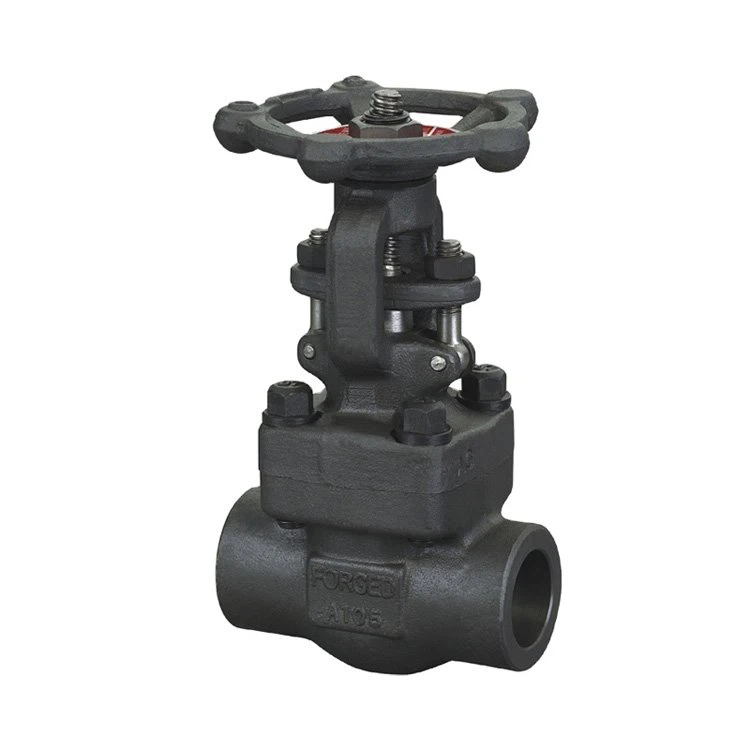 JIS API602 Manual Flanged Forged Steel Pressure Seal A105 F304 F316 F316L Globe Gate Valve Manufacturer