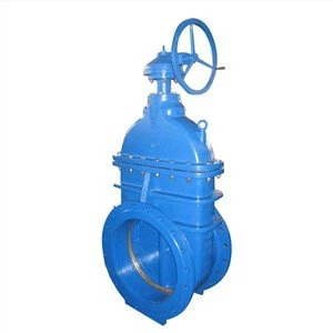 Ductile Iron, Cast Iron, Metal Seated, Industrial, Control Gate Valve