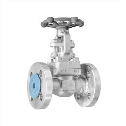 Duplex Gate Valve