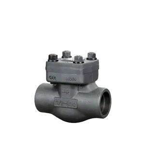 Forged Steel Check Valve